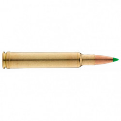 Balles Sologne - Cal. 300 Weatherby Magnum