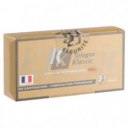 Balles Sologne ProHunter - Cal. 375 Win