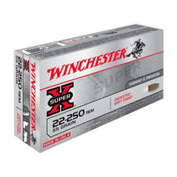 Balles Winchester Power...