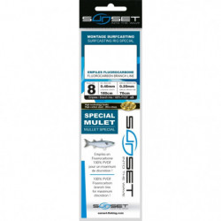Bas de ligne surfcasting...