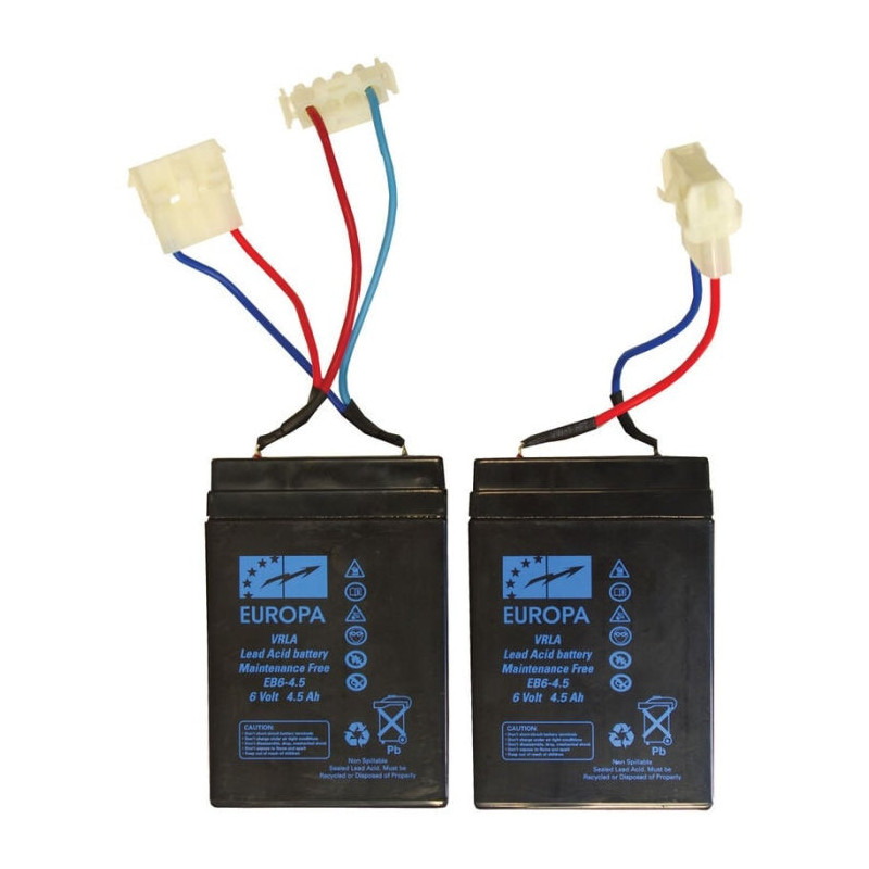 Batteries Anatec Pacboat au plomb - Par 2