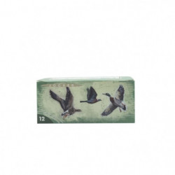 Boite de 10 Cartouches...