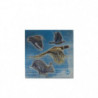 Boîte de 25 Cartouches Jocker Duo Lapin 28 BJ - Cal. 20/70/16 - PB 6 1/2 8