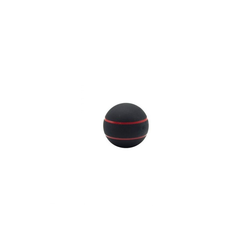 Boule de Levier Jakele Pour Blaser R8/R93 Monza