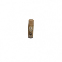 Bouteille de Silicone ASG -...