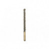 Brosse Laiton Januel Carabine