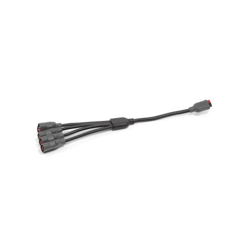 Câble de chaînage BioLite 4 ports haute puissance (PHP) vers 1 port haute puissance (PHP)