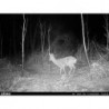 Camera de chasse Dörr Snapshot Cloud 4G