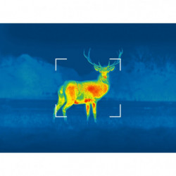 Caméra thermique Pulsar Axion 2 LRF XG35
