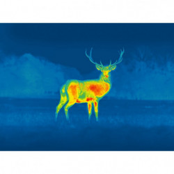 Caméra thermique Pulsar Axion 2 XG35