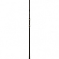 Canne à carpe JRC Extreme TX 3LB