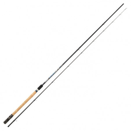 Canne à l'anglaise Garbolino Silver Bullet Carp Match 2S