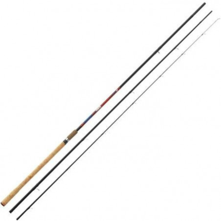 Canne à l'anglaise Garbolino Zombie Carp Match