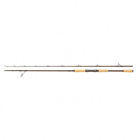 Canne Abu Garcia Beast Pro Spinning Rod
