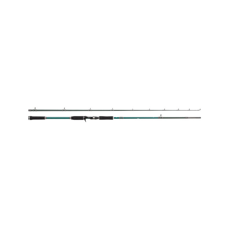 Canne Abu Garcia Beast X Casting Rod