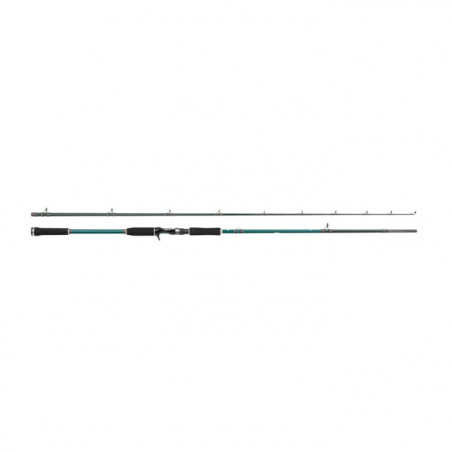 Canne Abu Garcia Beast X Casting Rod