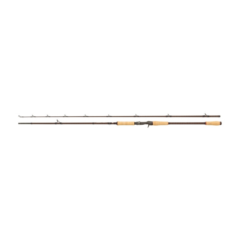 Canne casting Abu Garcia Beast Pro Casting Rod