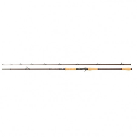 Canne casting Abu Garcia Beast Pro Casting Rod