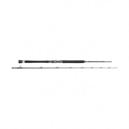 Canne casting Penn Carnage Boat