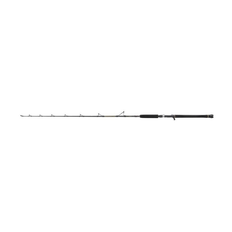 Canne casting Penn Regiment III Jig