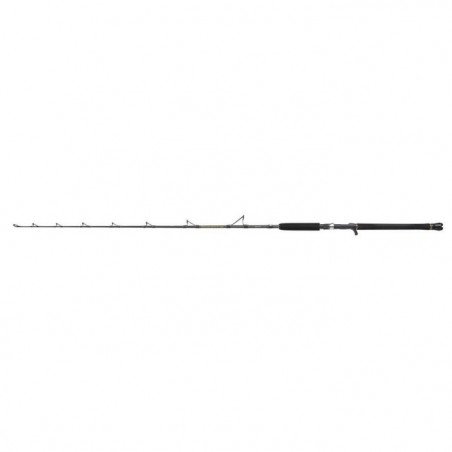 Canne casting Penn Regiment III Jig