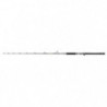 Canne casting Penn Regiment III Jig