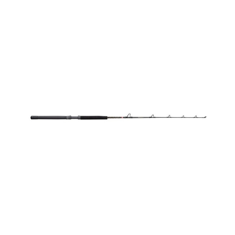 Canne casting Penn Squall® II Trolling