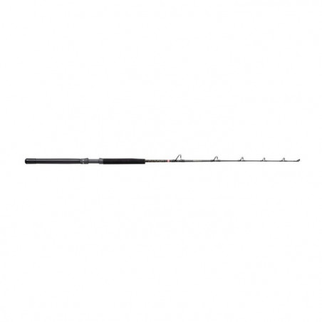 Canne casting Penn Squall® II Trolling