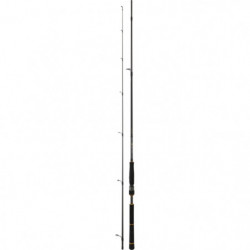 Canne Daiwa BG Seabass