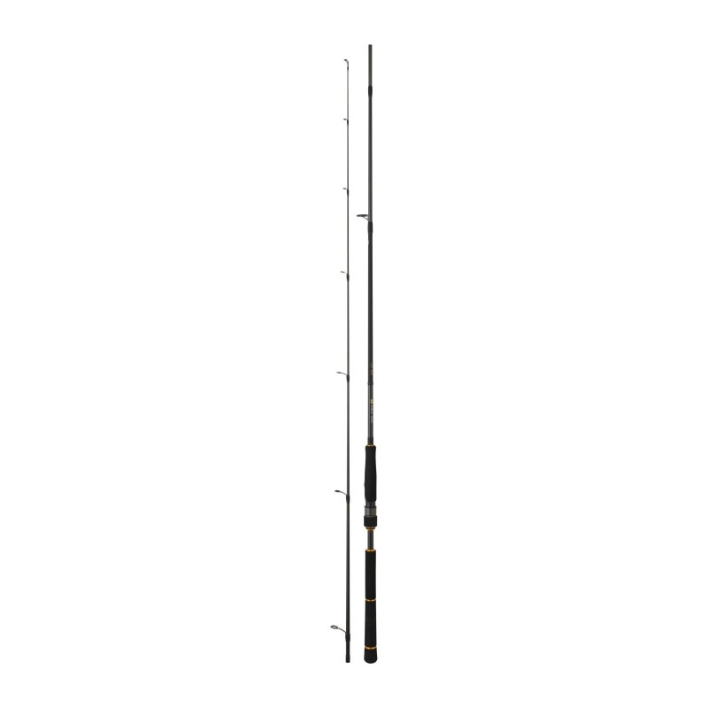 Canne Daiwa BG Seabass