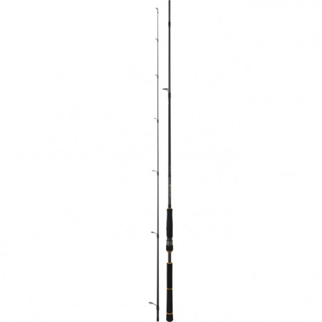 Canne Daiwa BG Seabass