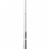 Canne Daiwa BG Seabass