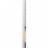 Canne Daiwa Black Widow Match