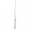 Canne Daiwa Black Widow Tele Carp