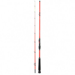 Canne Daiwa Boat Squid