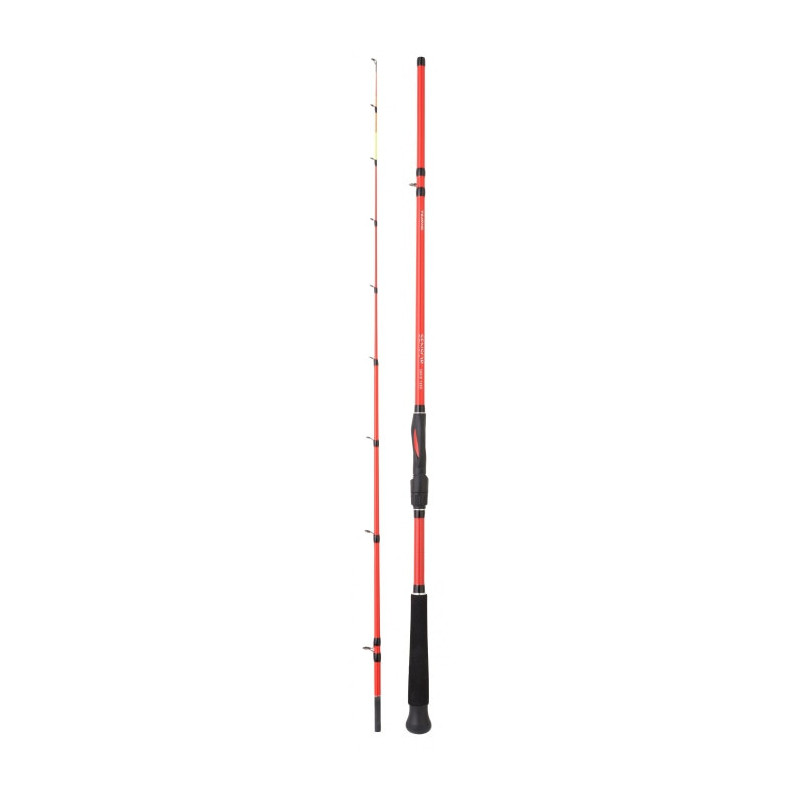 Canne Daiwa Boat Squid