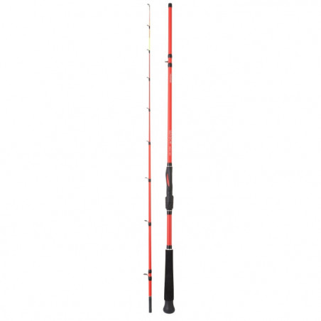 Canne Daiwa Boat Squid