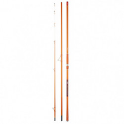 Canne Daiwa Cast'izm