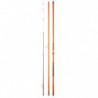 Canne Daiwa Cast'izm