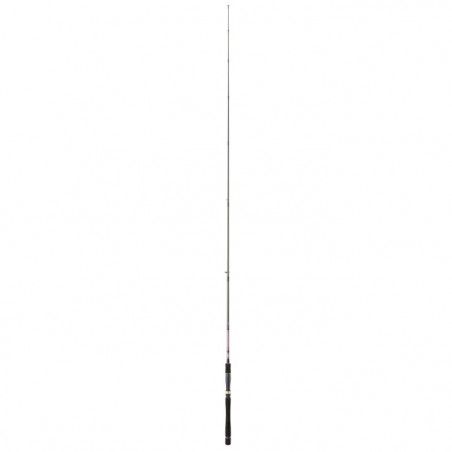 Canne Daiwa Crosscast