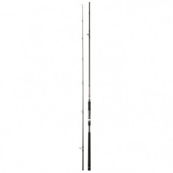 Canne Daiwa Crosscat Shore...