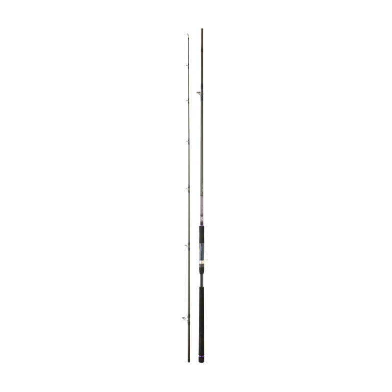 Canne Daiwa Crosscat Shore Jigging