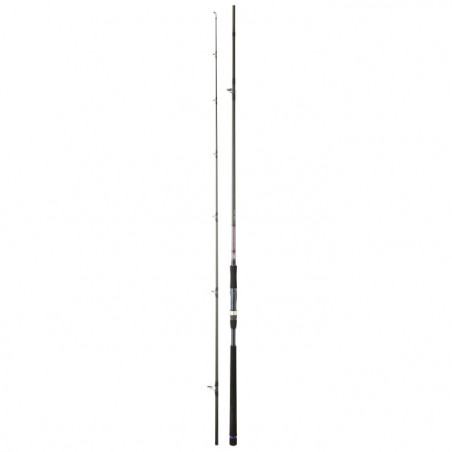 Canne Daiwa Crosscat Shore Jigging