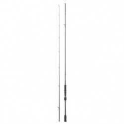 Canne Daiwa Emeraldas AGS