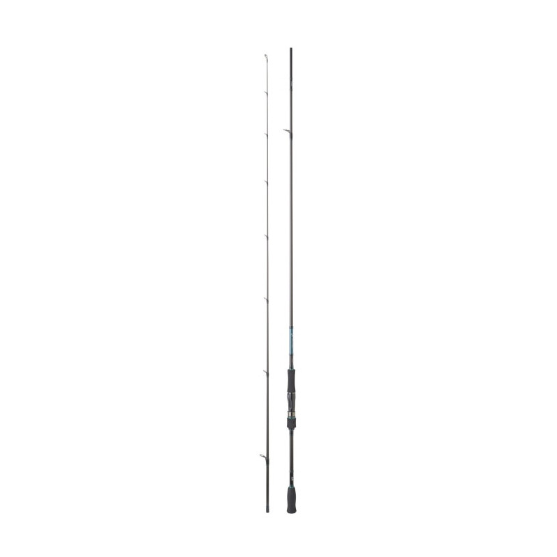 Canne Daiwa Emeraldas AGS
