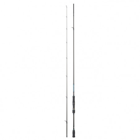 Canne Daiwa Emeraldas AGS