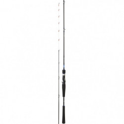 Canne Daiwa Emeraldas Boat