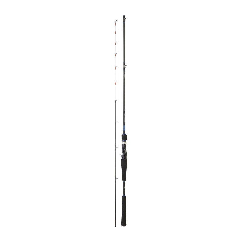 Canne Daiwa Emeraldas Boat