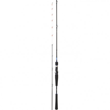 Canne Daiwa Emeraldas Boat