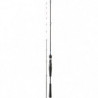 Canne Daiwa Emeraldas Boat